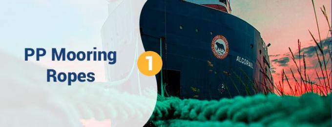 Groothandel 220 M Witte hoge sterkte PP polypropyleen 8 strengen 68 mm mooring touw voor het slepen 0