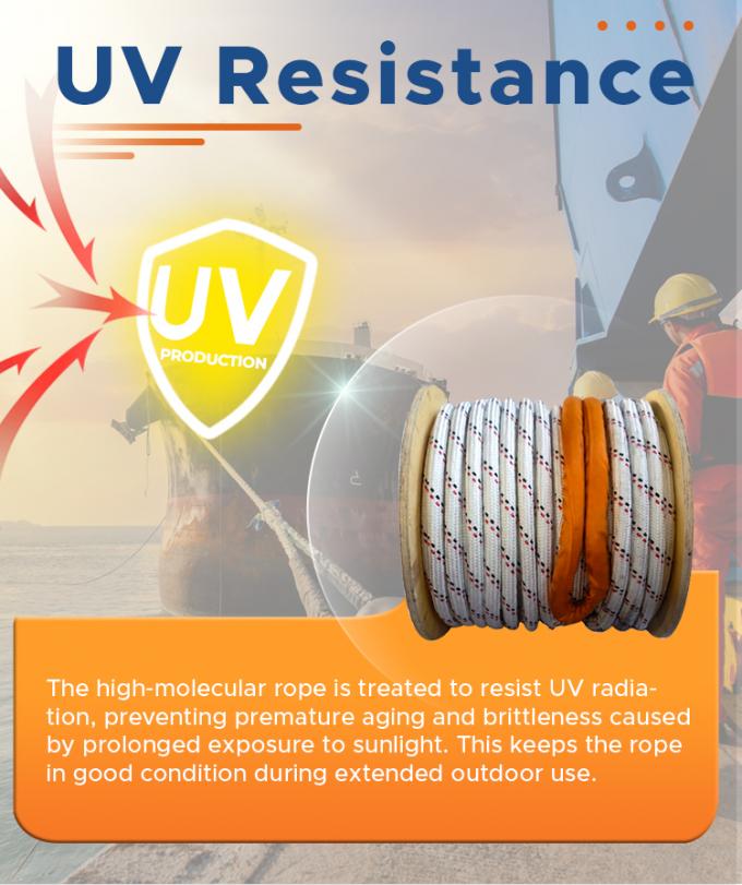 Hoge sterkte dubbel gevlochten polyester jas met Uhmwpe Marine sleeptouw 6