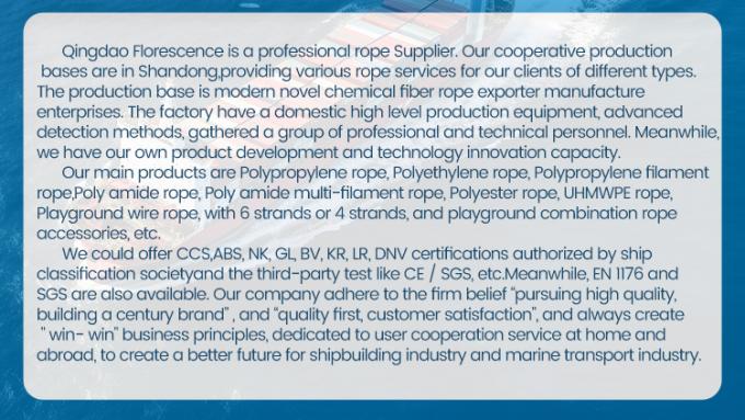 Hoge sterkte 3 strengen gedraaid 4mm-60mm Nylonvezel zeiltouw Polyamide touw Nylon Marine Mooring touw 4